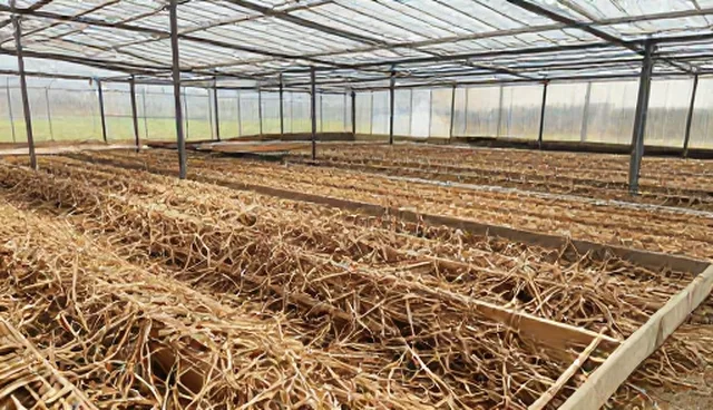 巴中网站建设如何选择合适信息发布平台