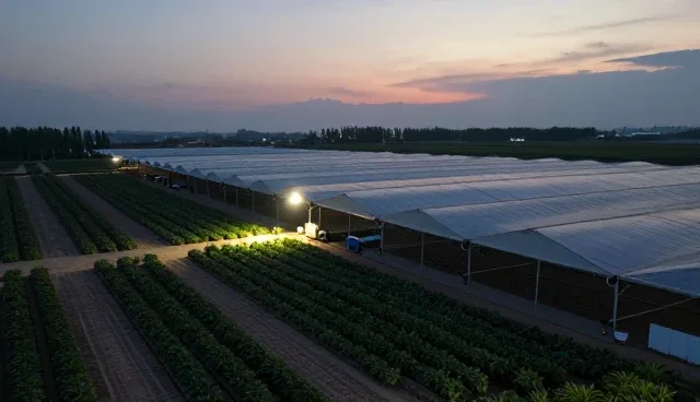 自主建站的适用条件与产品推广套餐选择依据
